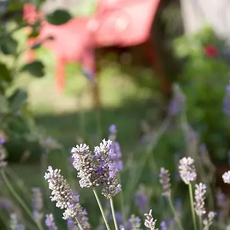 호텔 Baby Gigli 누마나